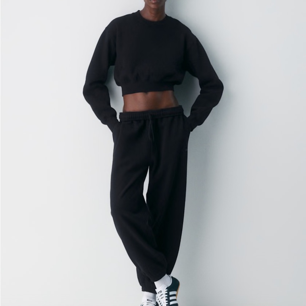 Aritzia Sweatfleece Megafit Black Jogger Sweatpants - Picture 5 of 6